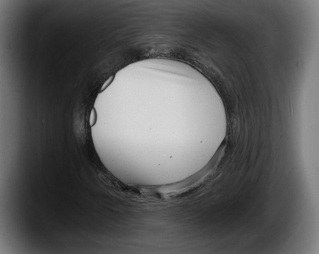 X0000087511250200705251612