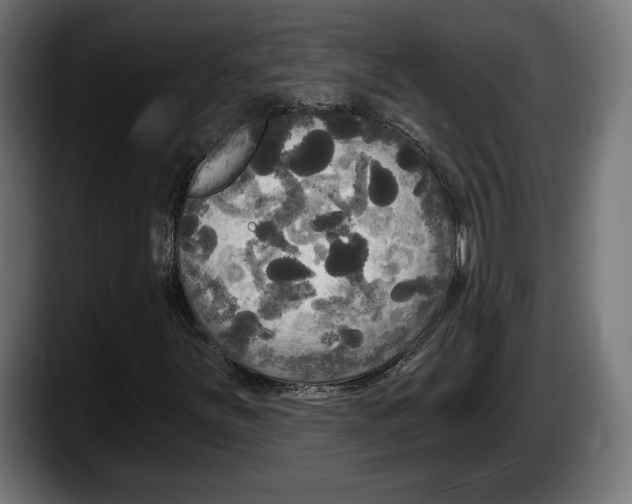 X0000087511251200705251612