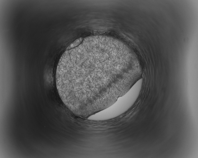 X0000087511252200705251612