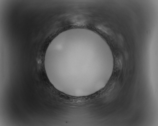 X0000087511254200705251612