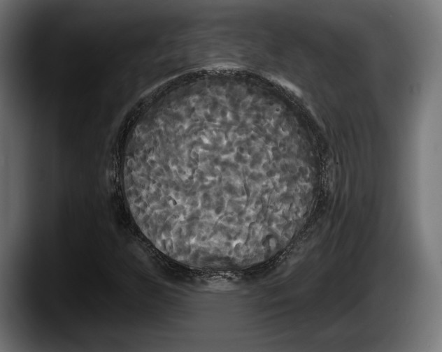 X0000087511255200705251612