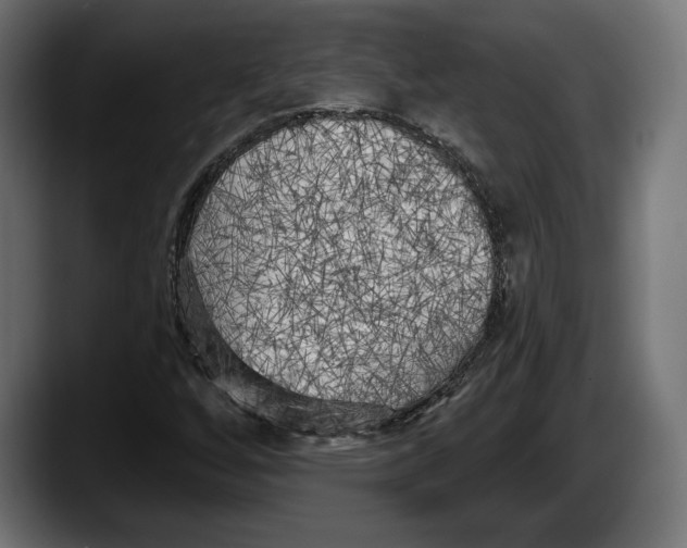 X0000087511256200705251612