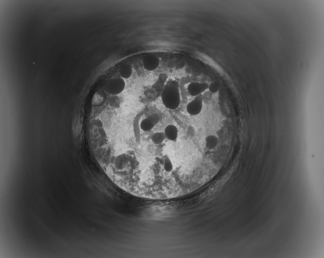 X0000087511259200705251612