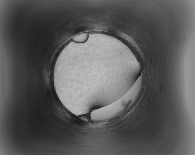 X0000087511260200705251612