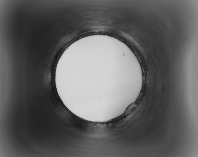 X0000087511261200705251612