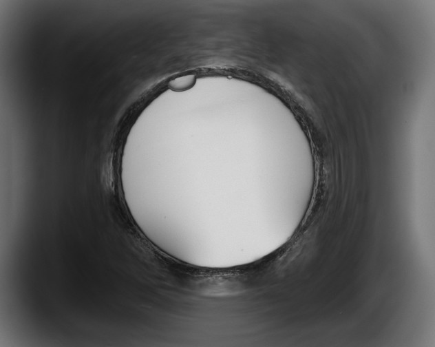 X0000087511262200705251612