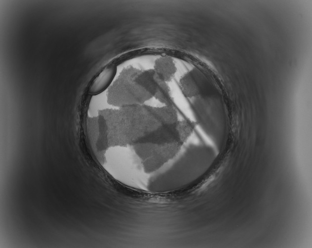 X0000087511263200705251611