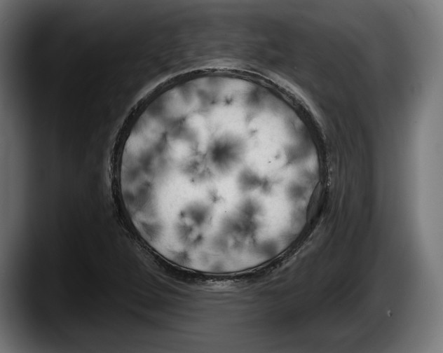 X0000087511264200705251611