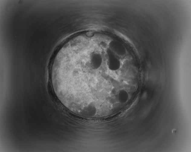 X0000087511267200705251611