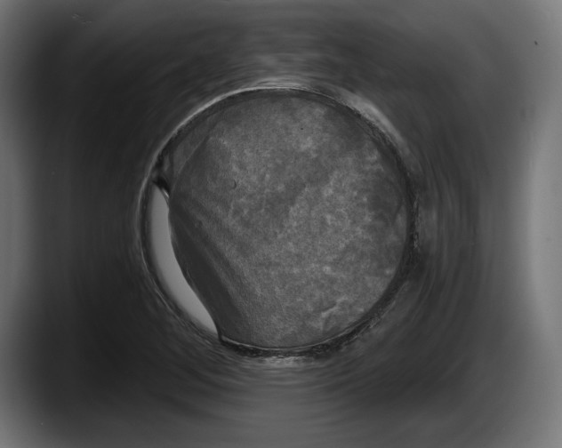 X0000087511268200705251611