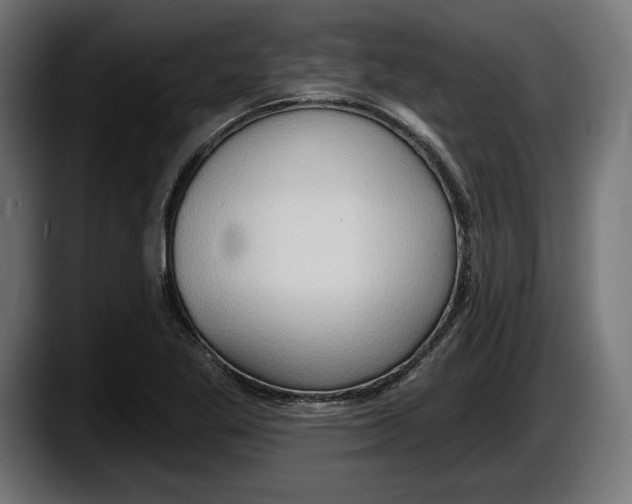 X0000087511269200705251611