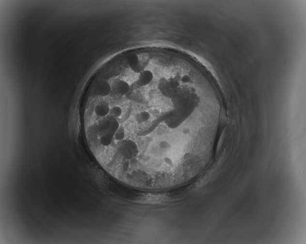 X0000087511271200705251611