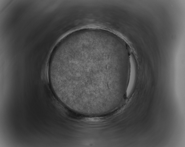 X0000087511272200705251611