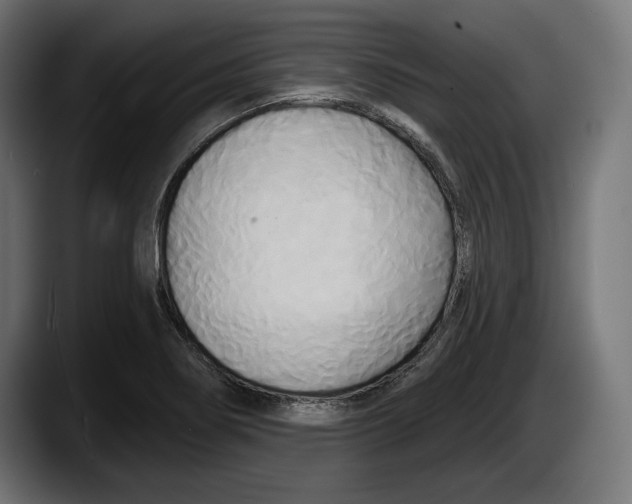 X0000087511274200705251611