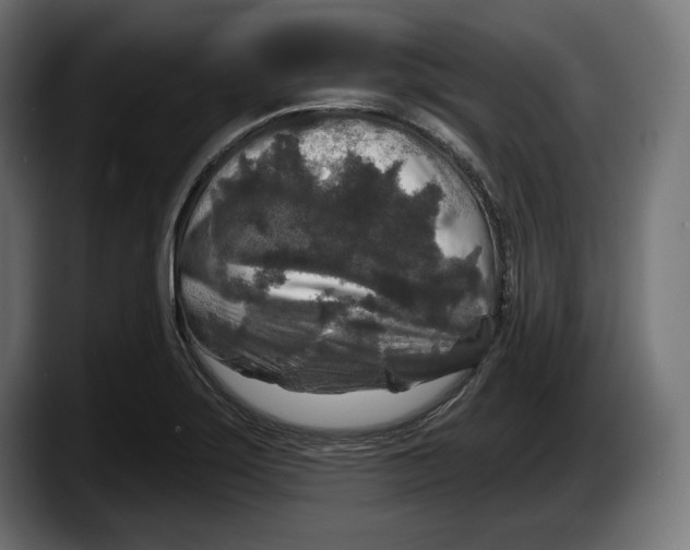 X0000087511275200705251611