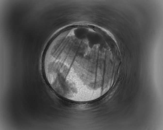 X0000087511279200705251611