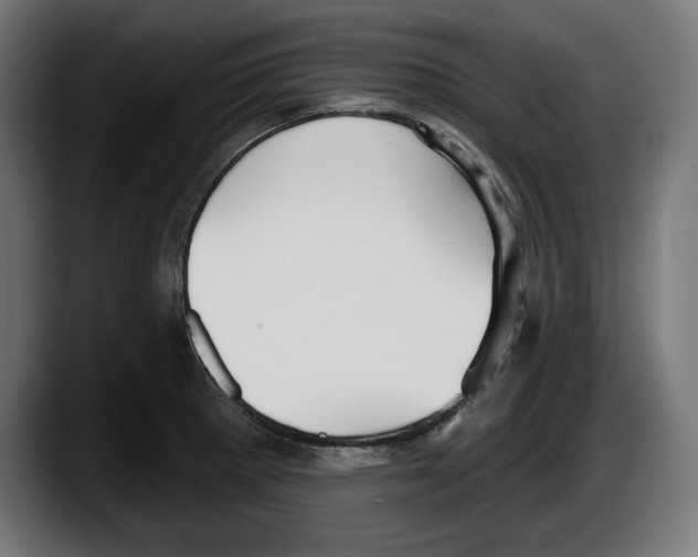 X0000087511281200705251611