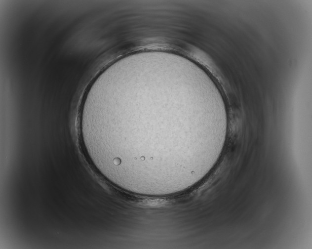 X0000087511282200705251611