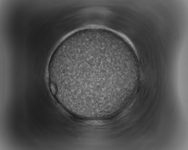 X0000087511287200705251611