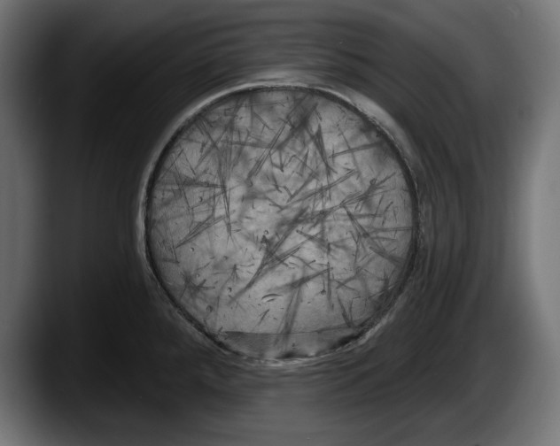 X0000087511288200705251611