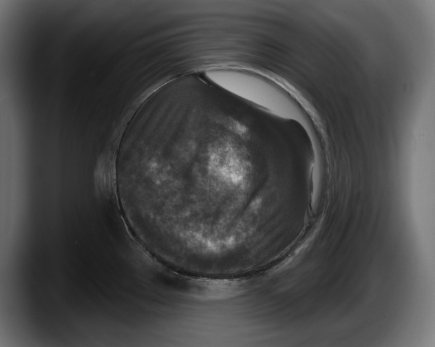 X0000087511289200705251611