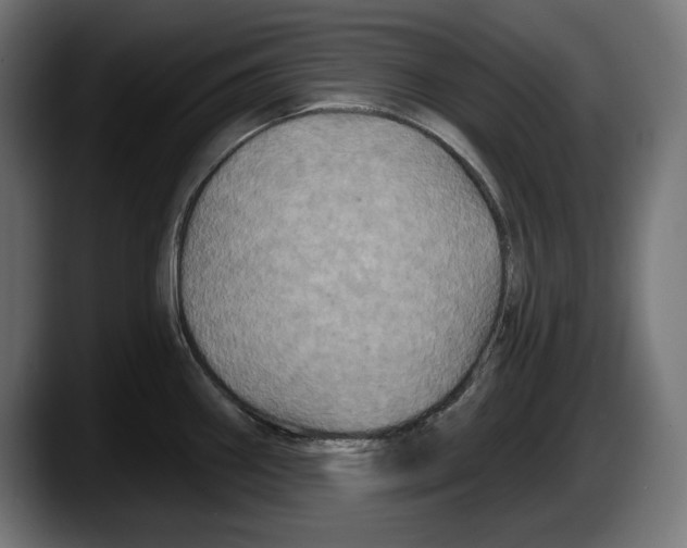 X0000087511290200705251611