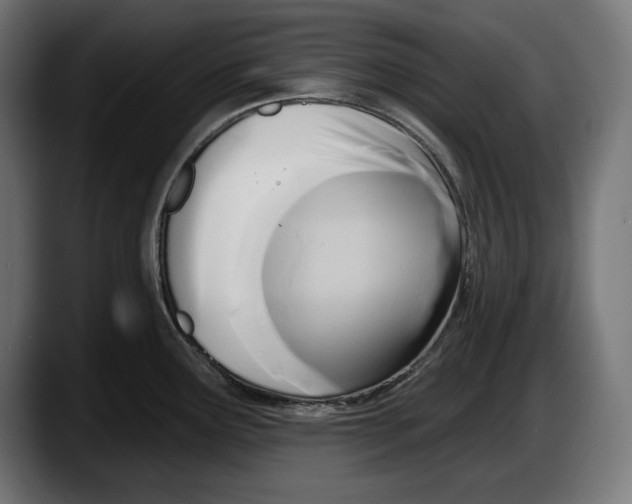 X0000087511291200705251611