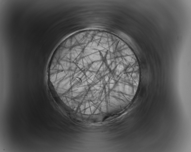 X0000087511292200705251611