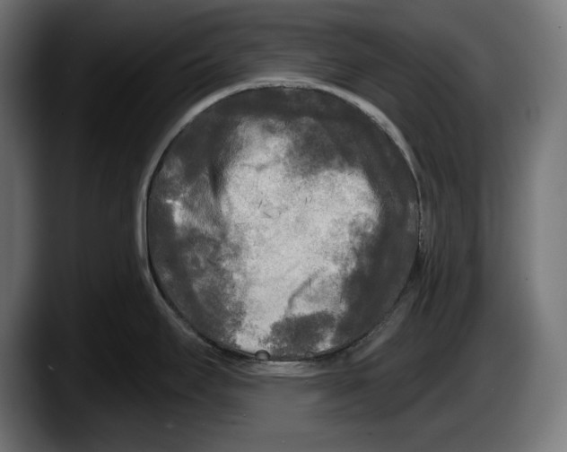 X0000087511295200705251611