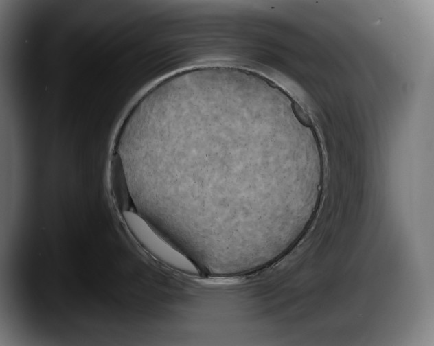 X0000087511296200705251611