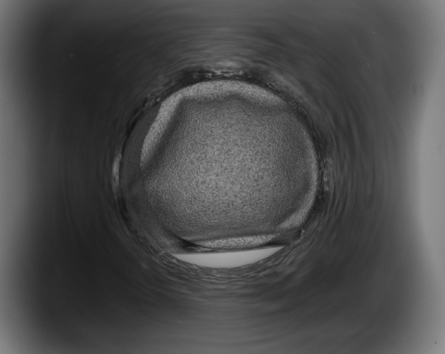 X0000087511298200705251610