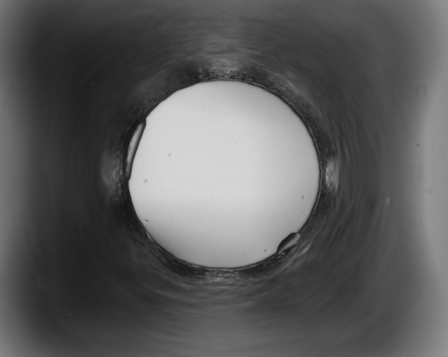 X0000087511299200705251610