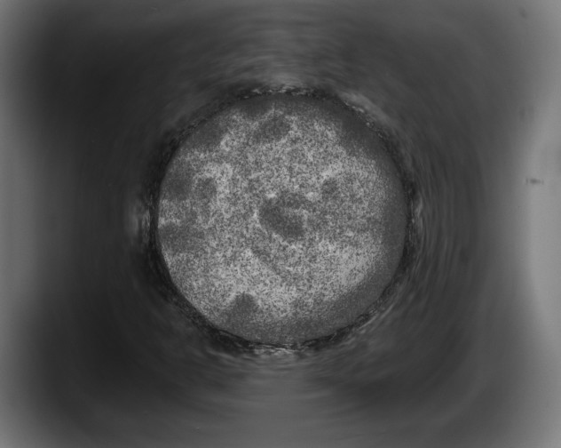 X0000087511302200705251610