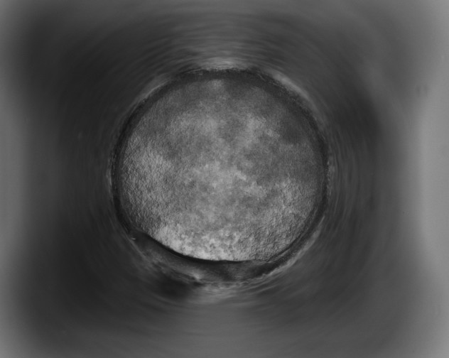 X0000087511305200705251611