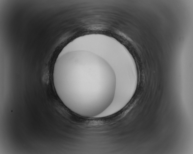 X0000087511306200705251611