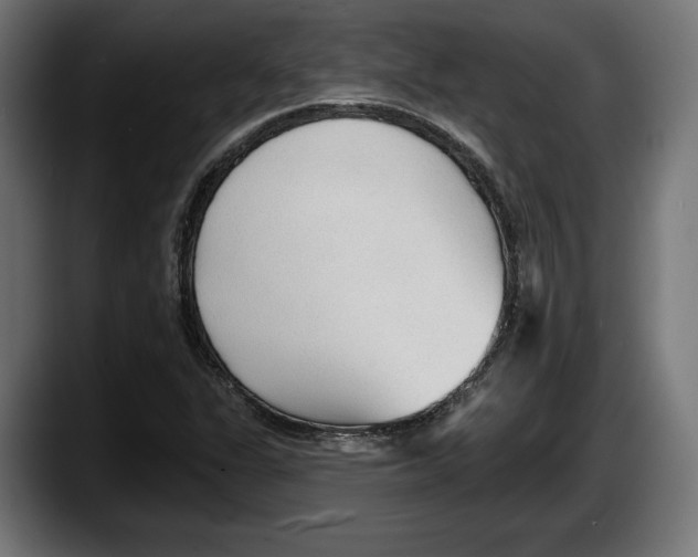 X0000087511311200705251611