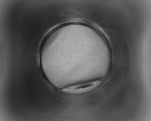 X0000087511320200705251611