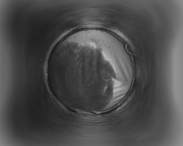 X0000087511325200705251611