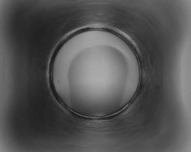 X0000087511327200705251611