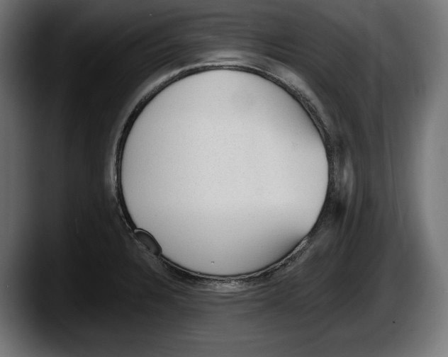 X0000087511328200705251611