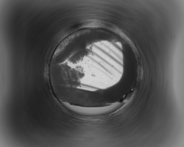 X0000087511329200705251611