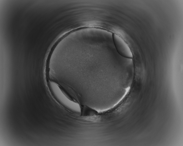 X0000087511331200705251611