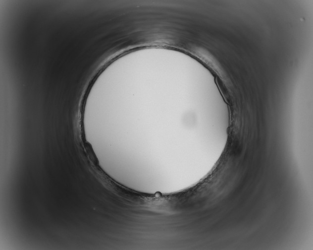 X0000087511332200705251611