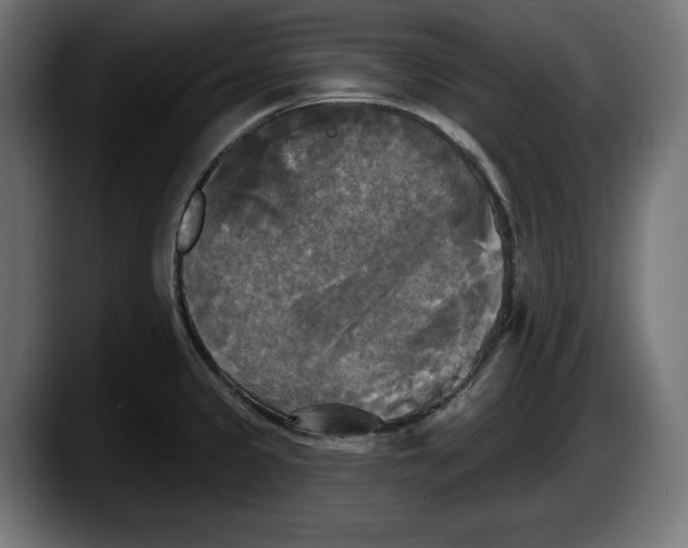 X0000087511333200705251611