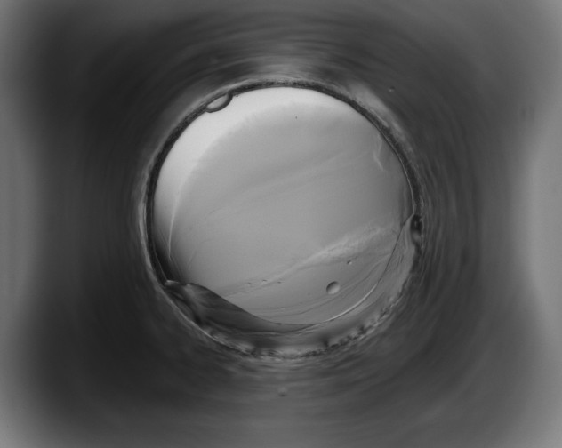 X0000087511334200705251611