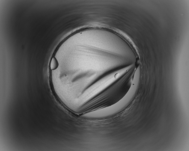 X0000087511335200705251611