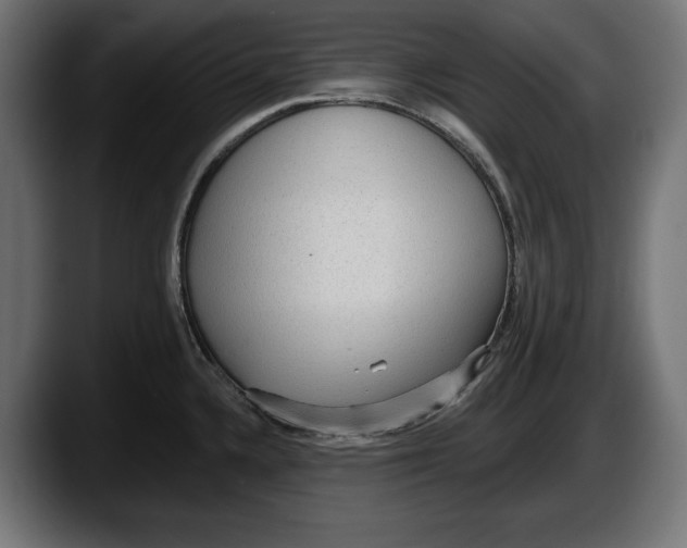 X0000087511336200705251611