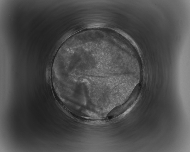 X0000087511337200705251611