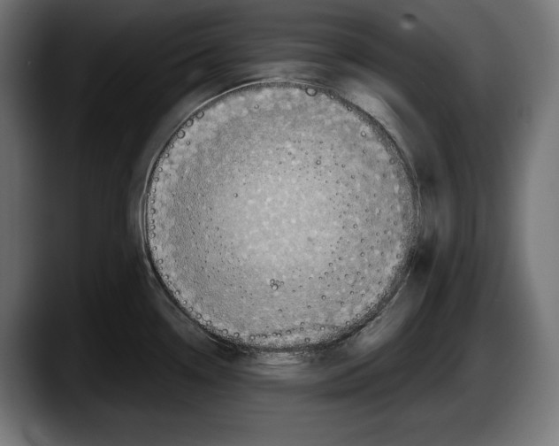 X0000087511338200705251611