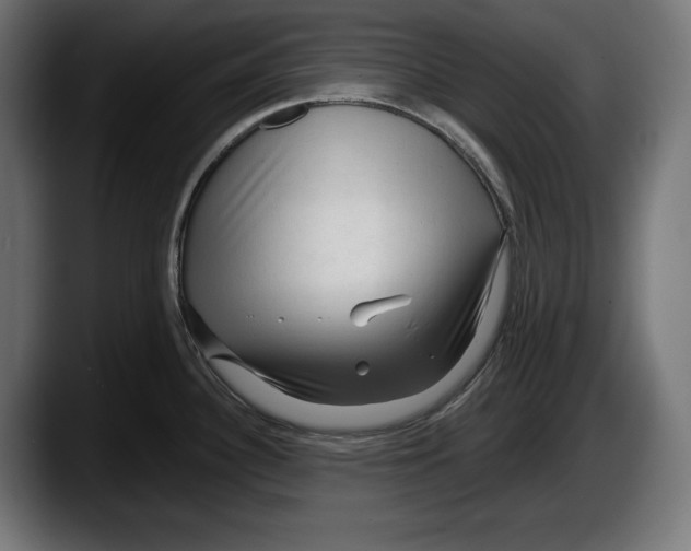 X0000087511340200705251611